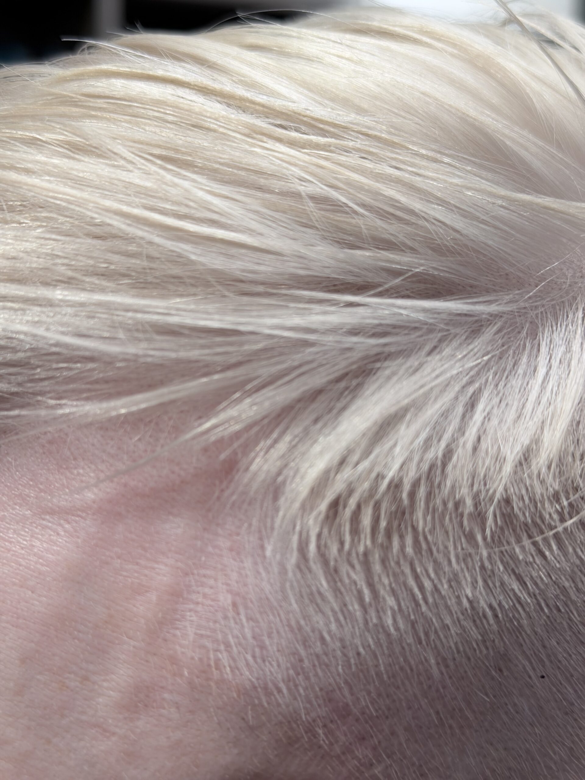 Professional haircut and finish by Eliab Blufstein